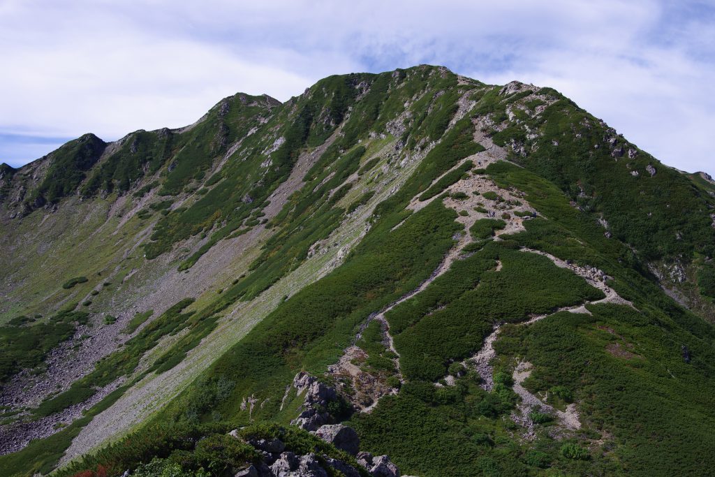仙丈ケ岳への稜線